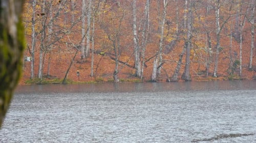 Regen auf dem See