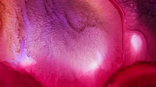 Soft pink tones and textures in close-up, resembling a biological or organic structure in an abstrac