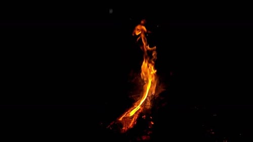 2K Camp Fire