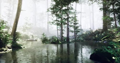 Serene Forest Landscape with Tranquil Water in a Foggy Environment