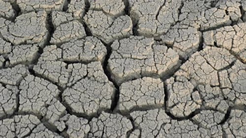 Ecological Disaster Drawing of Dry Land