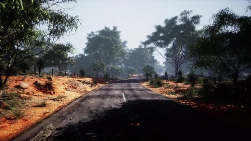 Road Leading Over Small Hills in Australian Bush Landscape