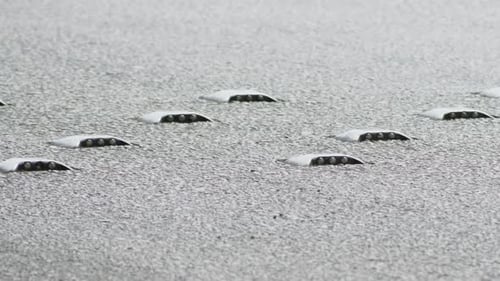 Noise Markings On Asphalt From Metal The Roads Greece Corfu