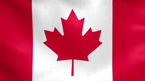 Waving Canadian Flag Loop with Realistic Fabric Texture