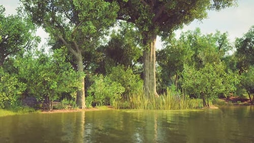 Peaceful Forest Lake with Gentle Camera Pan