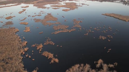 A serene delta with scattered vegetation during sunset, aerial view