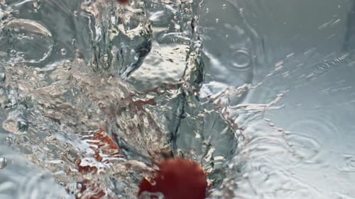 Ripe Red Tomatoes Dropped into Water