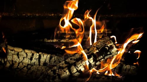 Fire Burning Brightly Around Charred Logs