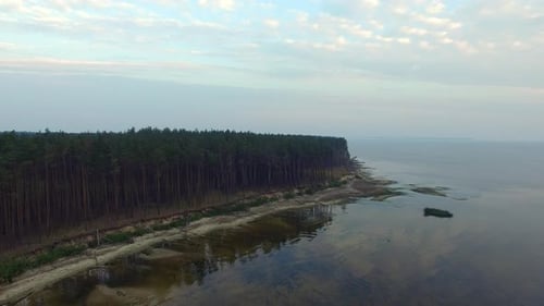 Drone view of evergreen pine forest on sandy lake shore reflecting sky