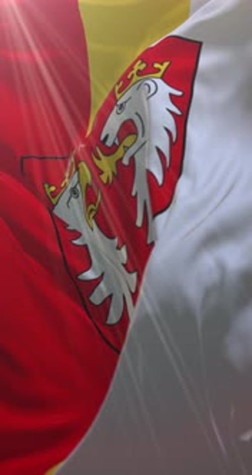 Vertical Waving Flag with Crest Emblem Animation