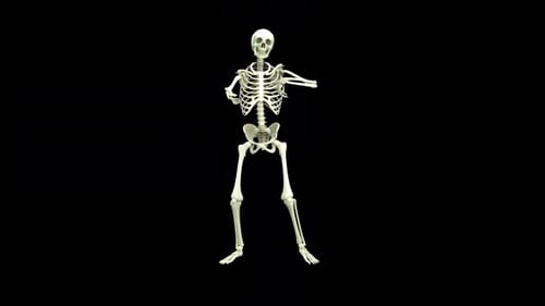 3D Animated Skeleton Dancing for Halloween