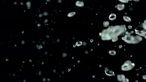 Bubbles In The Dark Water