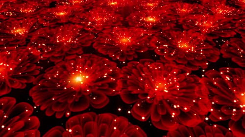 Red Flowers