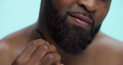 Hands, studio and man with beard, comb and tangle prevention with tool, smile