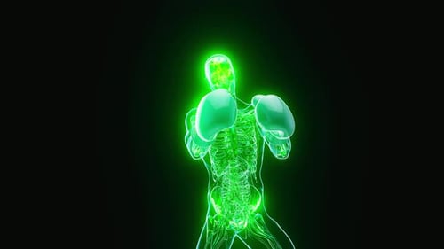 Futuristic Green Boxer Human Anatomy 3D Animation