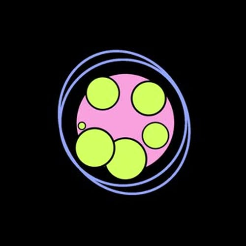 Animated Expanding Circles Flat Design Reveal