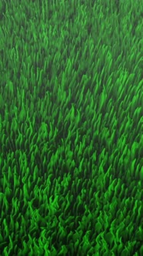 Une texture d'herbe verte éclatante, parfaitement adaptée à divers projets et conceptions sur le thème de la nature