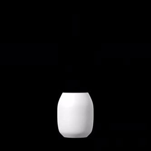 Animated Calla Lilies Bouquet Growing in Modern Vase