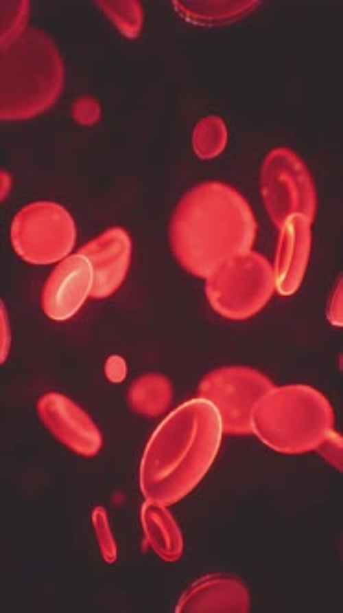 Healthy Human Red Bloodcells Abstract Concept
