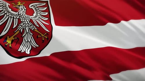 Frankfurt Flag Waving - Germany