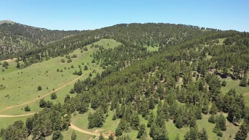 Collines au sommet des arbres avec vue aérienne