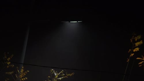 White light from lamp in park at foggy night