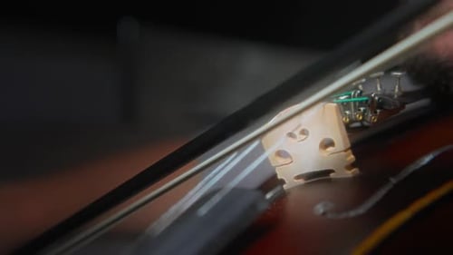 Violist Playing Dark Brown Viola Close Up