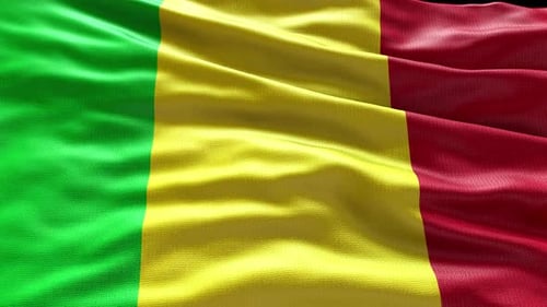 Realistic Mali National Flag Waving in the Wind Animation