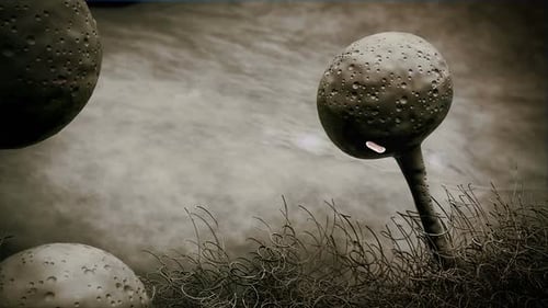 Animated Microscopic Fungi with Releasing Spores