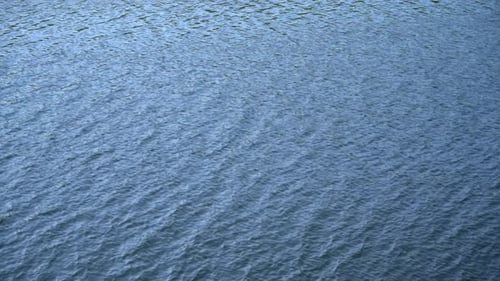 Calm water on lake during daylight.