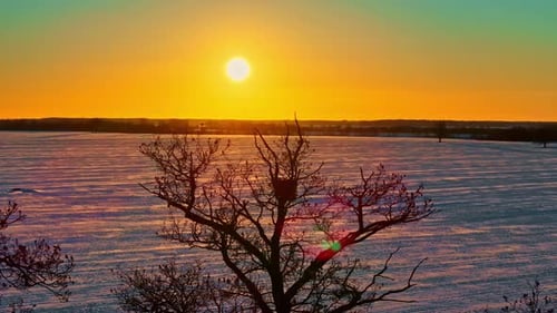 Stunning Winter Sunset Landscape Over Snowy Field and Lonely Tree