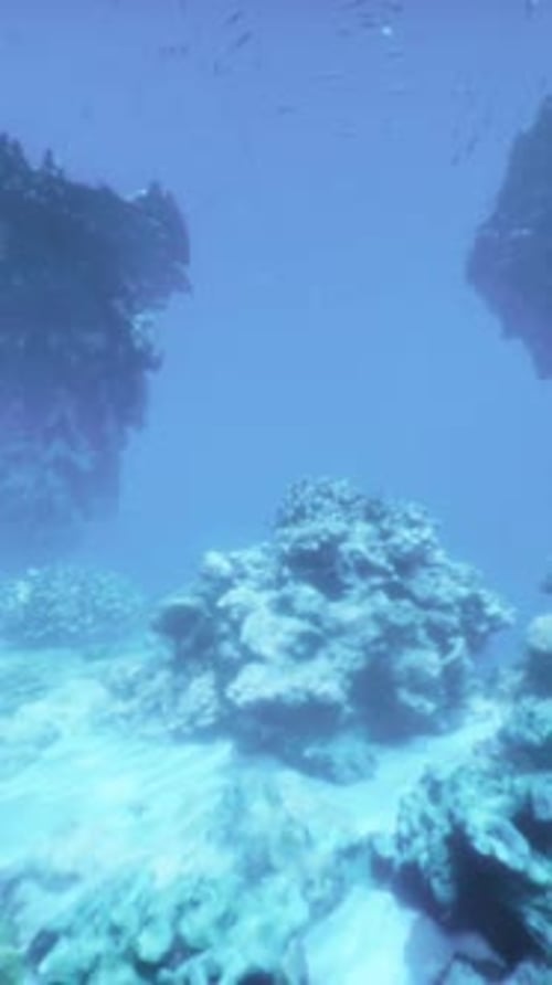 A View of a Coral Reef From the Water