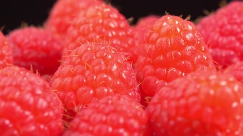 Whole raspberries spinning on black background for a restaurant, juicy raspberries for advertising