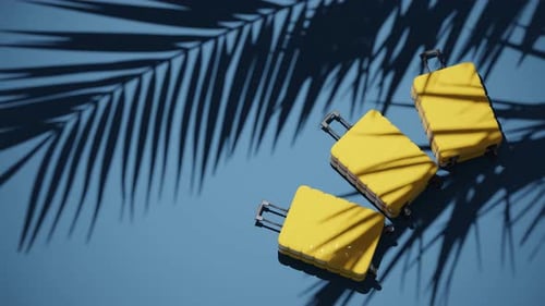 Malas em fundo azul tropical