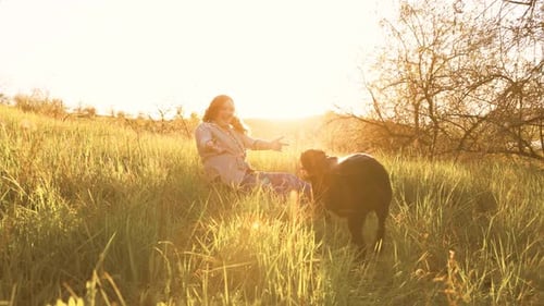 Woman Cuddles with Dog in Golden Grassy Field