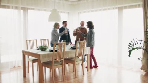 Group of Adults Toasting with Wine Indoors