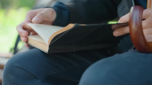 Former Teacher with Weathered Book on Garden Bench Enjoying Peaceful Reading Elderly Educator