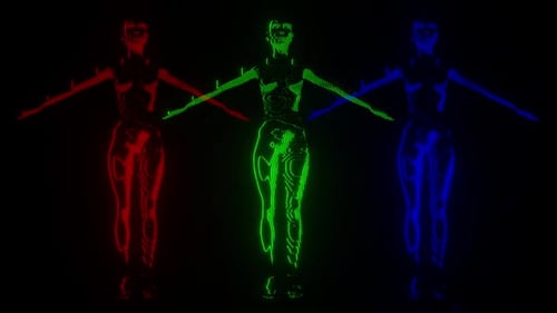 Estructura alámbrica de modulación corporal femenina