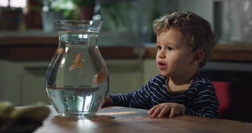 Toddler Enjoys Watching Goldfish in Clear Vase