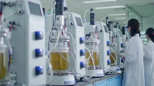 Scientifiques professionnelles portant une blouse de laboratoire, des gants de sécurité, des lunettes, menant des expériences biologiques