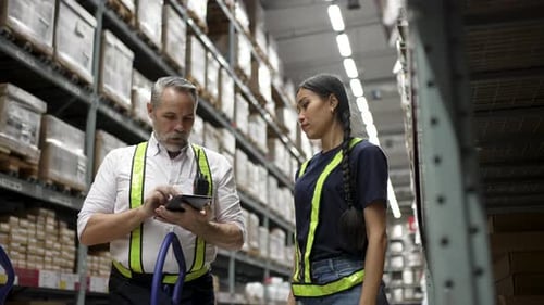 Logistics employees are working warehouse.