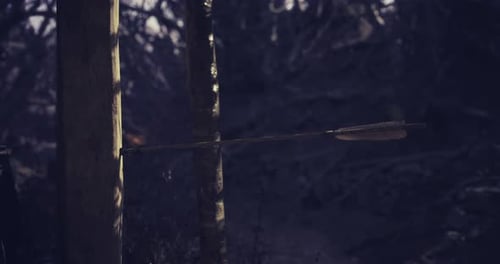 Archers Precision Displayed As Arrow Strikes Target in Forest Setting