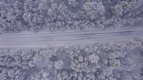 Aerial Footage of Road in Winter Forest Landscape