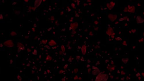 3d Hearts Going Up Overlay Loop