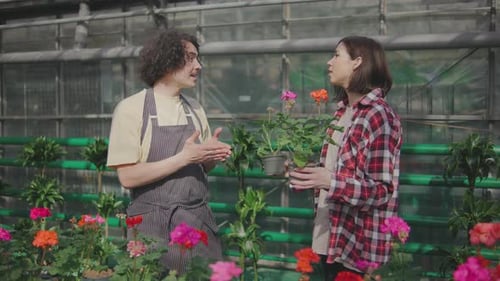 A Male Sales Consultant Gives Advice to the Buyer on Caring for Flowers A Male Plant Botanist