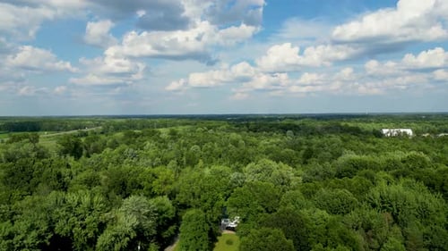 Drone captures a vast aerial view of a lush green forest under a bright blue sky with scattered clou