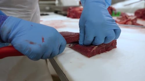 Tender red meat being separated by worker with a knife at a meat processing plant