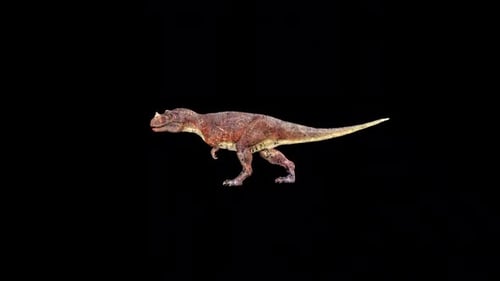 Wild Ceratosaurus Walk 2