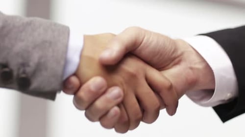 African american businessman and businesswoman shake hands in office