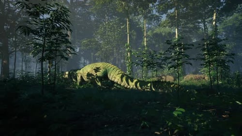 Crocodile se déplaçant furtivement dans une forêt dense au crépuscule